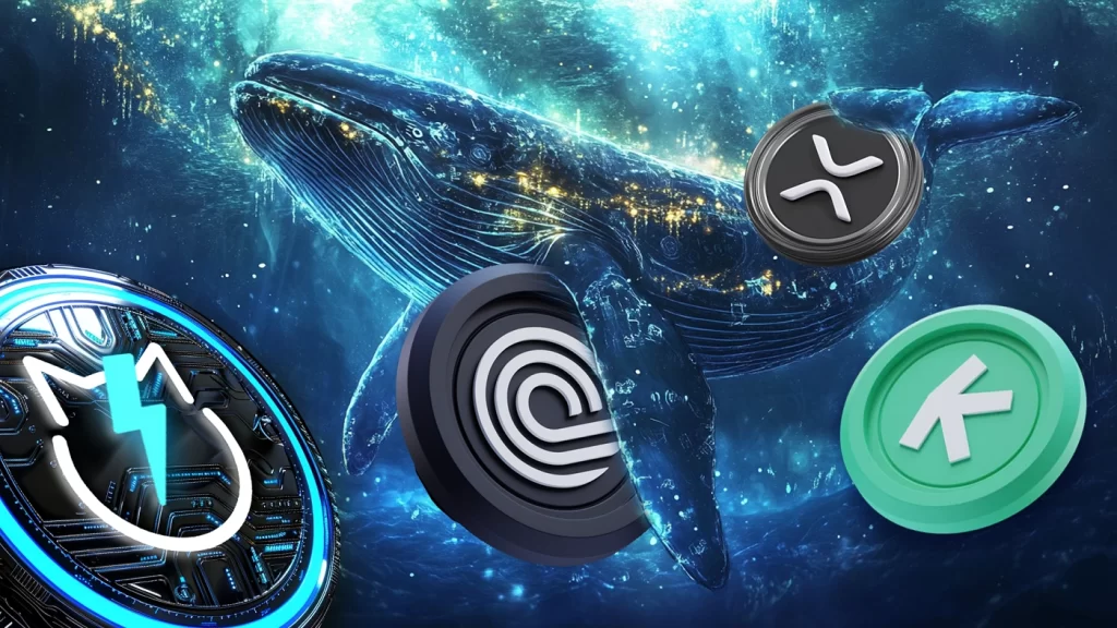 نهنگ کریپتو