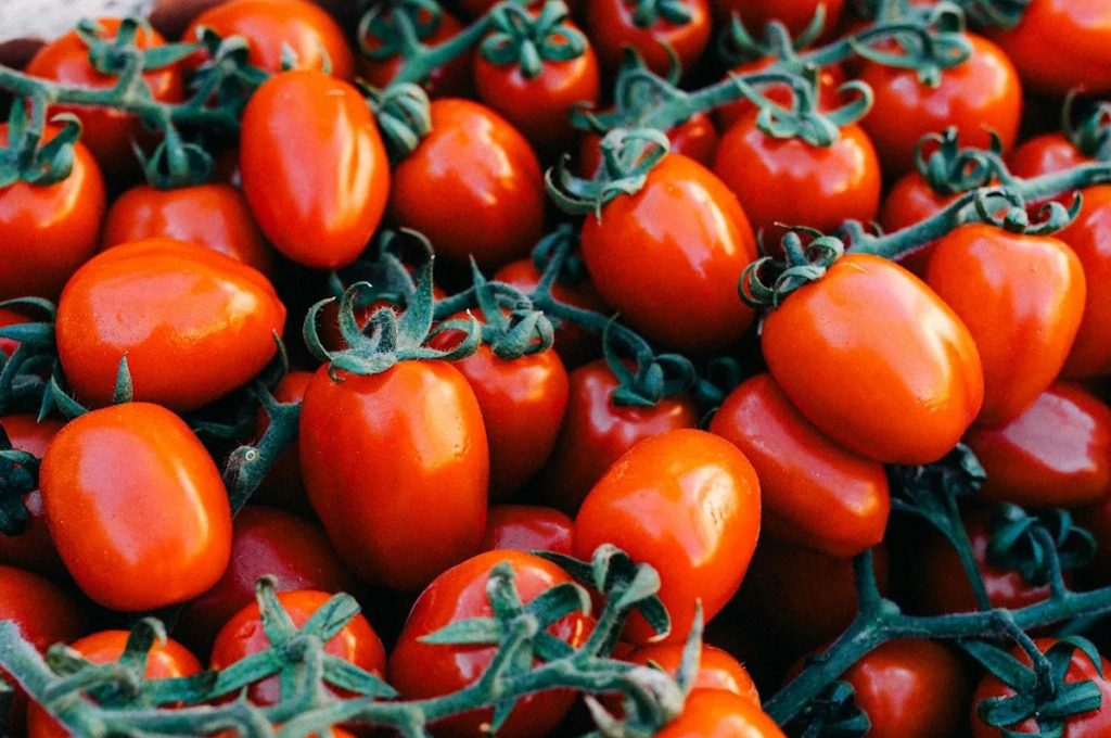 گرانی ها به گوجه رسید