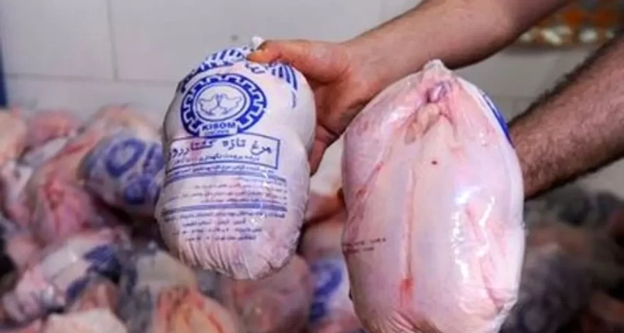 توزیع مرغ منجمد تنظیم بازاری