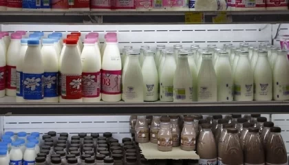 قیمت رسمی ۴ محصول لبنی