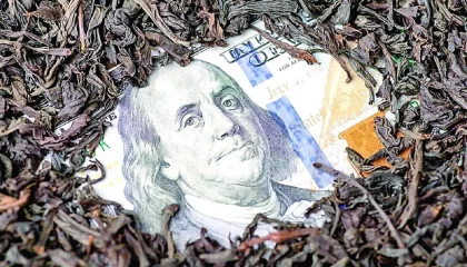 چای دبش در آینه پرونده‌های قضائی