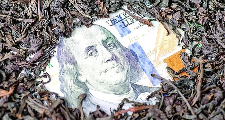 چای دبش در آینه پرونده‌های قضائی