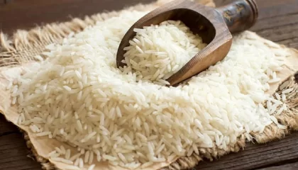 زنگ خطر برای بزرگ‌ترین تولیدکننده برنج دنیا