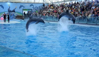 ممنوعیت تفریحات آبی در جزیره قشم و کیش