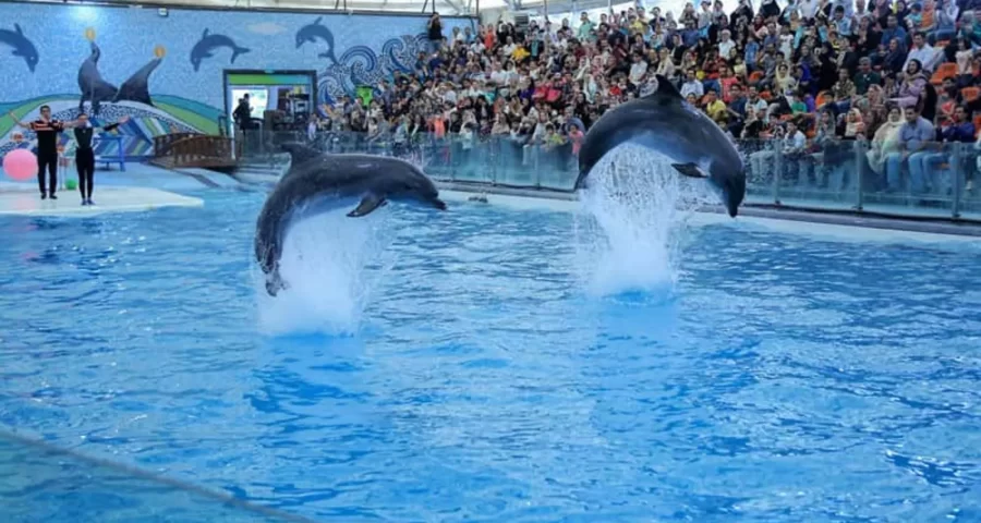 ممنوعیت تفریحات آبی در جزیره قشم و کیش