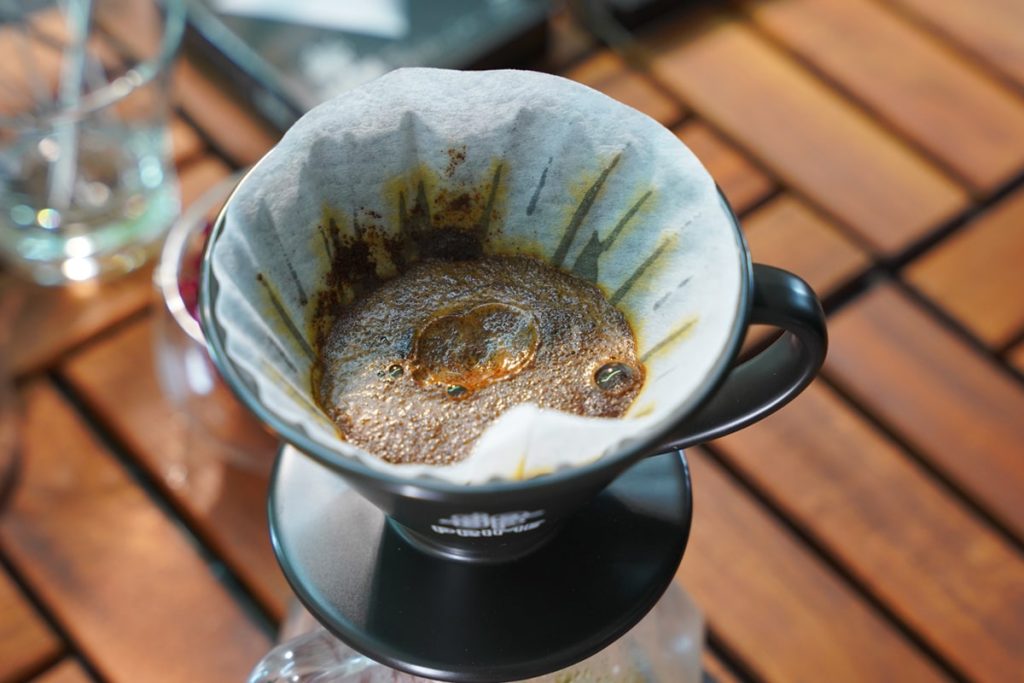 بلومینگ و شکوفاسازی قهوه