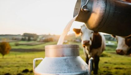 افزایش قیمت لبنیات امروز