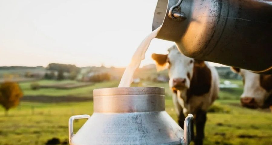 افزایش قیمت لبنیات امروز