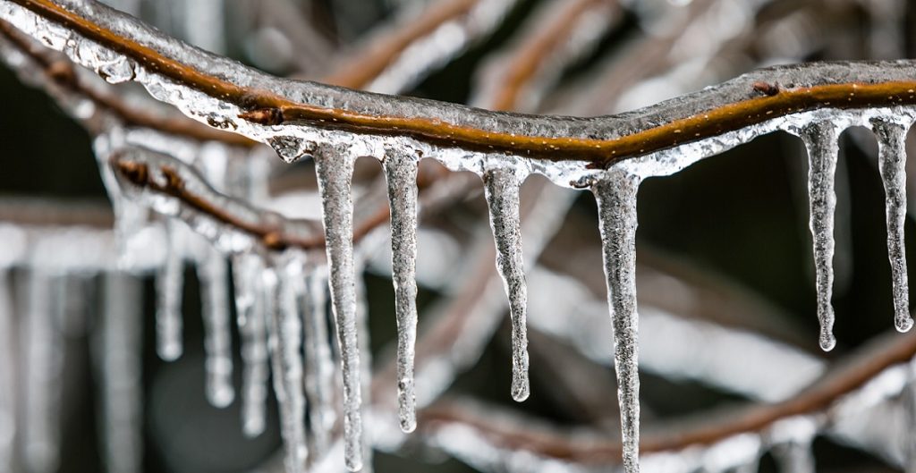 باران، برف و یخبندان در 16 استان کشور