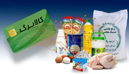 آغاز برداشت کالابرگ یک میلیونی از فردا